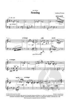 Sensing von Anthony Powers (Download) 