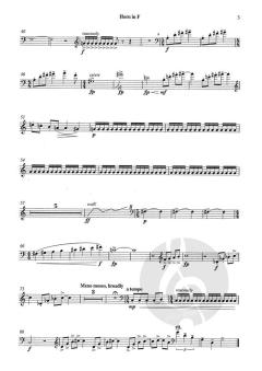 Sweet and Sour Nursery Rhymes von Libby Larsen (Download) 