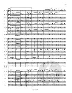 An der schönen blauen Donau op. 314 von Johann Strauss (Sohn) 