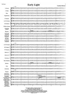 Early Light von Jetse Bremer 