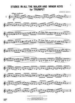 Etudes in All the Major and Minor Keys von Sigmund Hering 