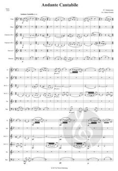 Andante cantabile von Peter Tschaikowsky 