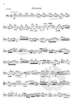 Danze antiche e moderne per fagotto mutlifonico von Fabio Gianolla 