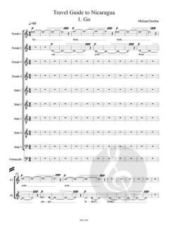 Travel Guide to Nicaragua von Michael Gordon 