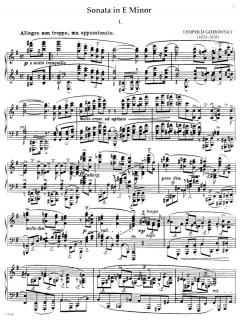 The Godowsky Collection Vol. 1 von Leopold Godowsky 