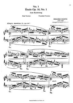 The Godowsky Collection Vol. 3 von Frédéric Chopin 