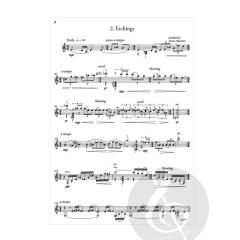 The Art Of The Guitar von Christopher Norton 