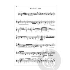 The Art Of The Guitar von Christopher Norton 