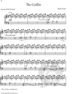 The Cuillin von Elinor Evans 