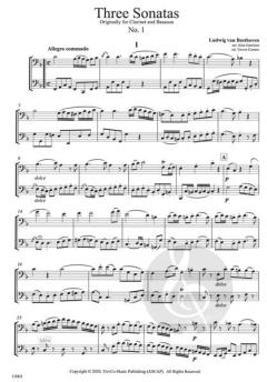 3 Sonaten von Ludwig van Beethoven 