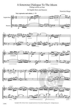 A sonorous dialogue to the moon von Francisco Braga 