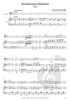Reminiscenze Belliniane von Nazzareno Gatti 