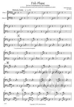 Fish Phase von John Steinmetz 