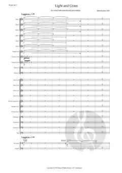 Light And Grass von Britta Byström 