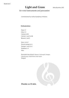 Light And Grass von Britta Byström 