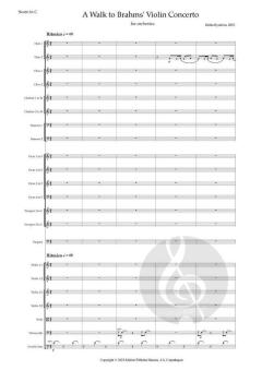 A Walk To Brahms Violin Concerto von Britta Byström 
