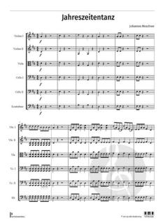 Saitenkarussell von Johannes Moschner 