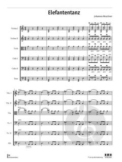 Saitenkarussell von Johannes Moschner 