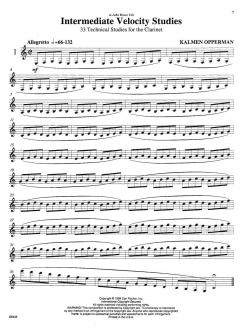 Intermediate Velocity Studies von Kalmen Opperman 