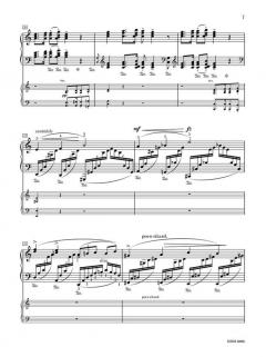 Piano Concerto in a Minor op.16 von Edvard Grieg 