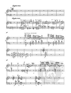 Concerto No. 1 in E-flat Major, S124 von Franz Liszt 