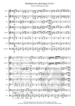 Musikant ein Leben lang von Gottfried Hummel 