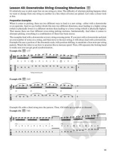 Total Picking Control - Expanded Speed Mechanics von Troy Stetina 