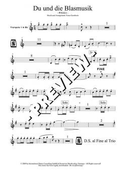 Du und die Blasmusik - DOWNLOAD von Franz Gerstbrein (Download) 