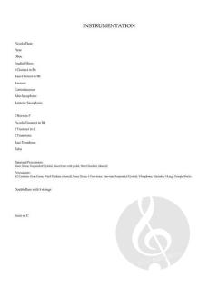 Symphony Of Broken Anthems von Maja S.K. Ratkje 