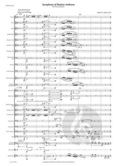 Symphony Of Broken Anthems von Maja S.K. Ratkje 