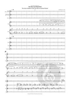 Rósan Í Vetrarljósi von Sunleif Rasmussen 