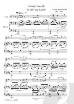 Amanda Sonate von Amanda Röntgen-Maier 