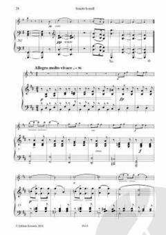 Amanda Sonate von Amanda Röntgen-Maier 