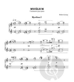 Mycélium von Robert Lemay 