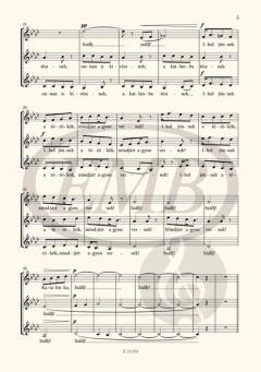 Katalinka von Zoltán Kodály 