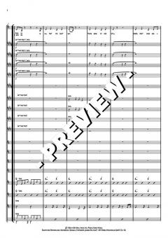 Baby Can I Hold You Tonight (Tracy Chapman) 