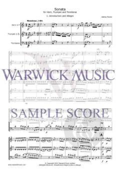 Sonata von Adrian Taylor 