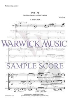 Trio '75 von Ian White 