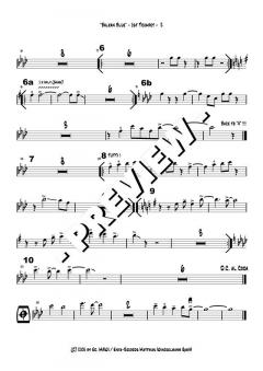 Balkan Blue - DOWNLOAD von Dusko Goykovic (Download) 