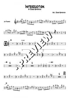 Introduction - DOWNLOAD von Dusko Goykovic (Download) 