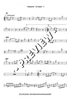 Introduction - DOWNLOAD von Dusko Goykovic (Download) 