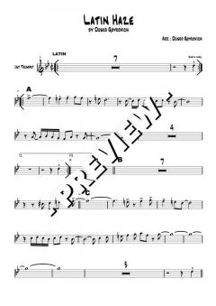 Latin Haze - DOWNLOAD von Dusko Goykovic (Download) 