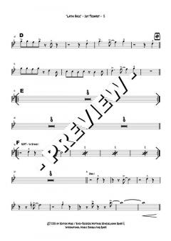 Latin Haze - DOWNLOAD von Dusko Goykovic (Download) 