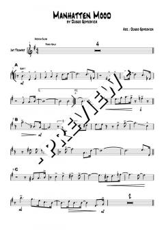 Manhatten Mood - DOWNLOAD von Dusko Goykovic (Download) 