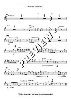 Manhatten Mood - DOWNLOAD von Dusko Goykovic (Download) 