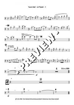 Slavic Mood - DOWNLOAD von Dusko Goykovic (Download) 