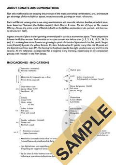 Sonata Ars combinatoria no. 5 von Leo Brouwer 