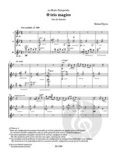 Les 100 de Roland Dyens - O trio magico 