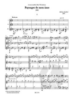 Paysages de mon âme von Adrian Andrei 