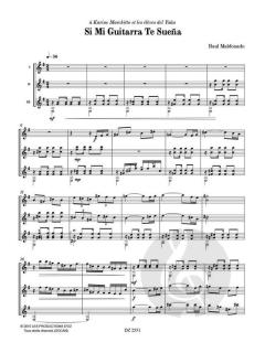 Si Mi Guitarra Te Sueña von Raúl Maldonado 